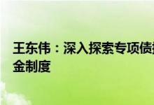 王东伟：深入探索专项债提前偿还，研究建立健全偿债备用金制度