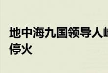 地中海九国领导人峰会呼吁尽快在黎巴嫩实现停火