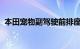 本田宠物副驾驶前排座椅和其他荒谬的故事